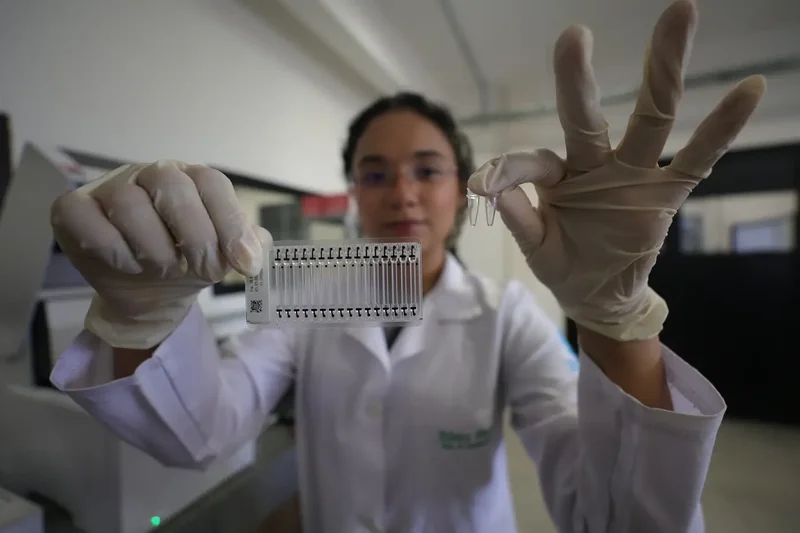Pará investe no ecossistema de inovaÅão na Amazónia